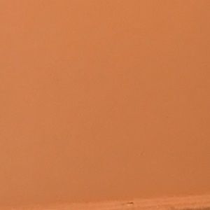 Meet your Posher, May